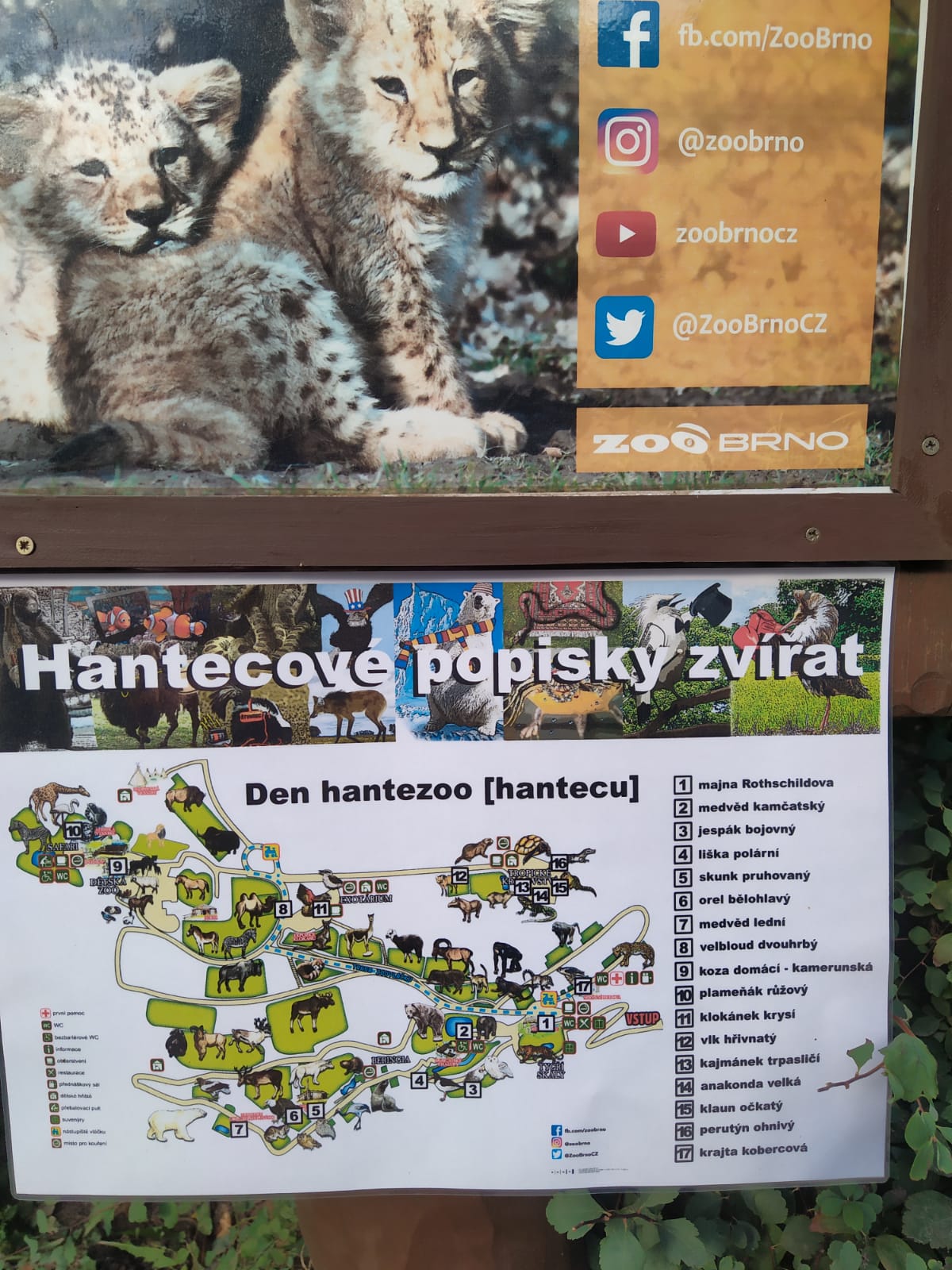 A sem jsme měli namířeno - ZOO v Brně