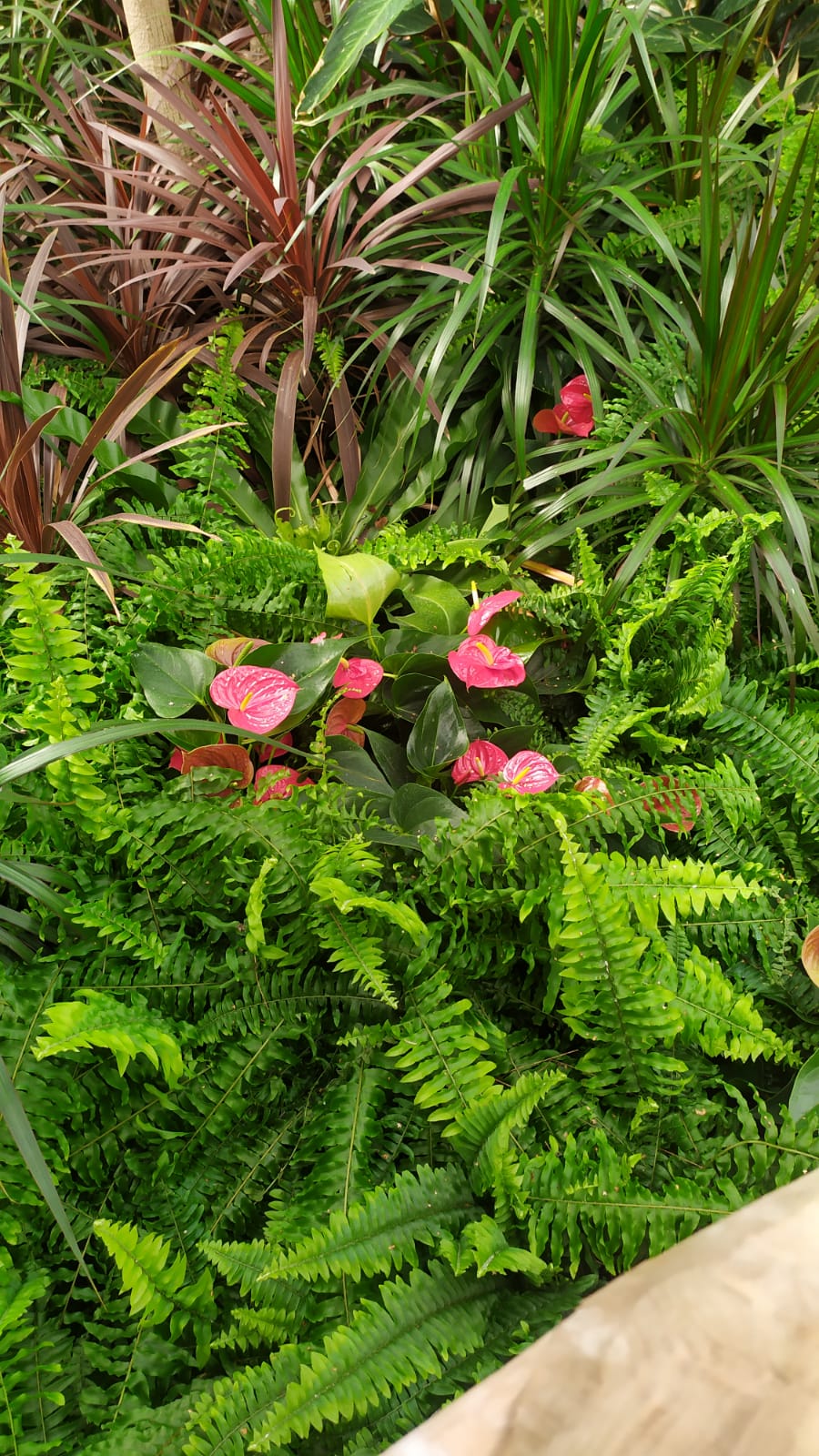 Skleníky hýřily svěžími barvami