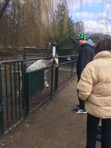 Ta koza je ale zvědavá