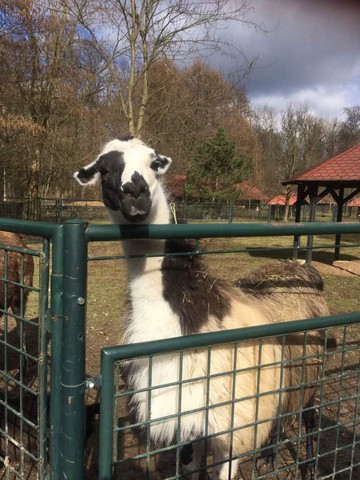 Vy už jdete? Tak na viděnou příště