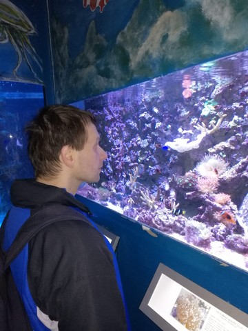 Některé akvárium zářilo mnoha barvami