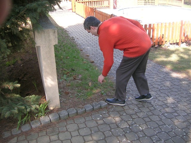 Však já ty šišky najdu všechny