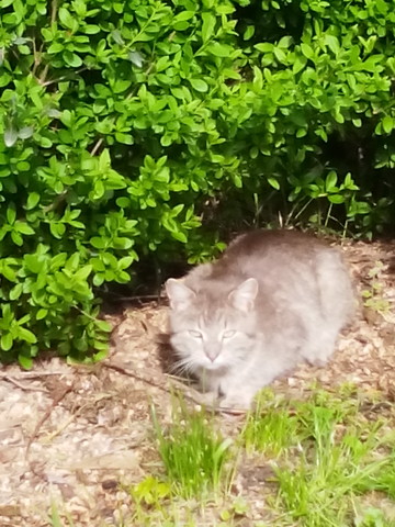 Jarní sluníčko je příjemné