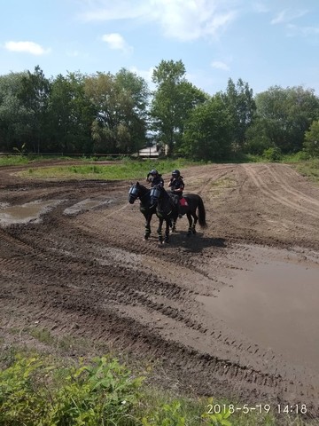 Tank power Přelouč