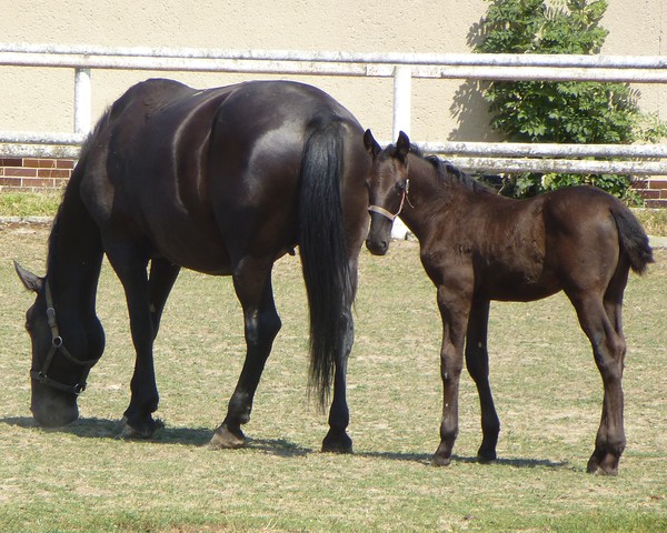 No řeknětě sami, nejsou krásní?