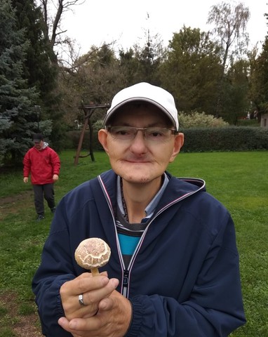 Hleďme, co tu vyrostlo 