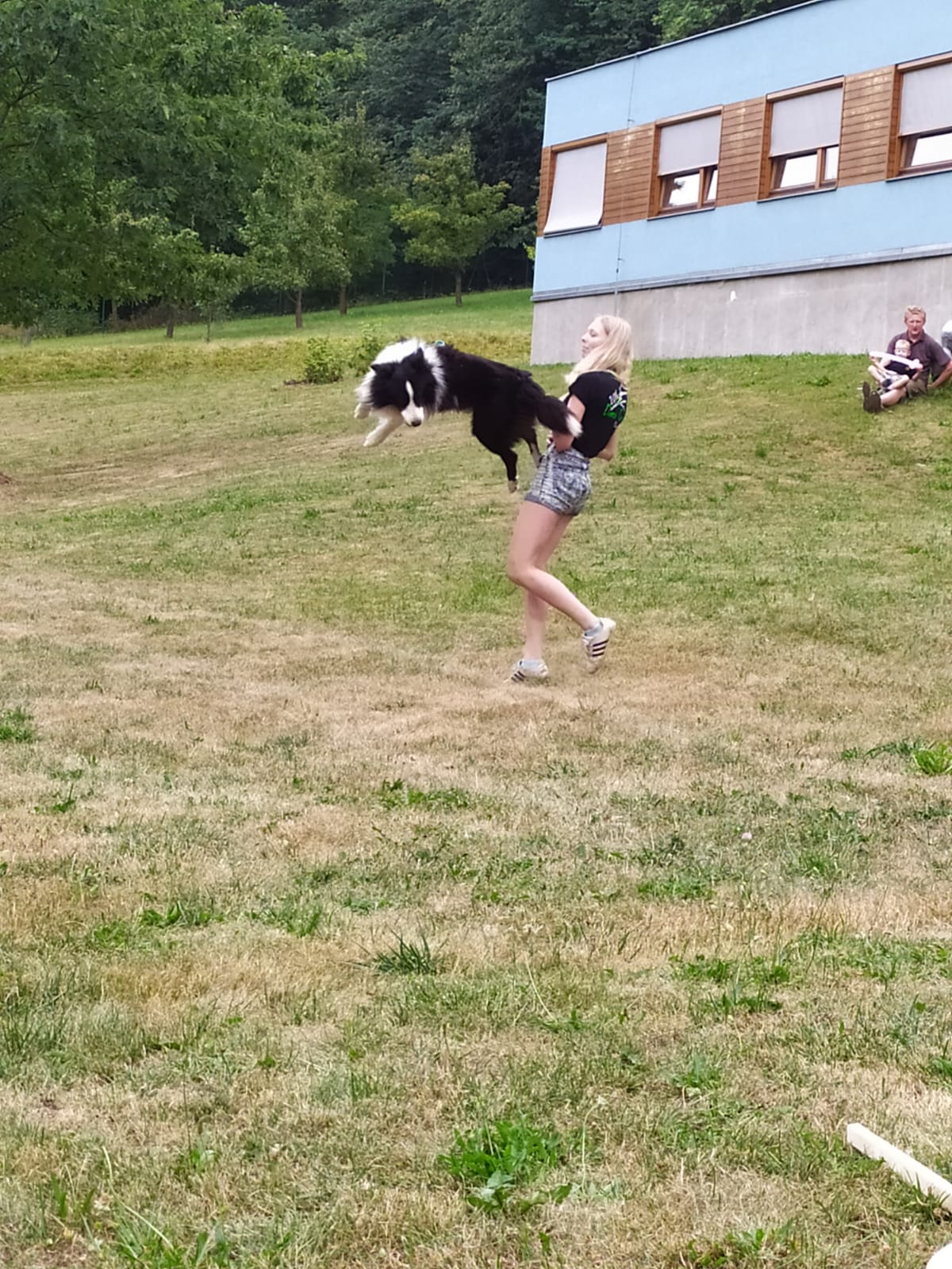 Dog dancing
