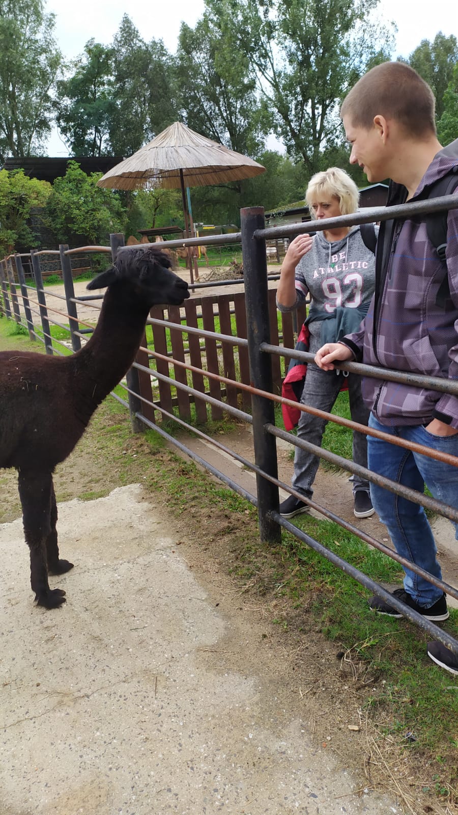 Jiná ano a jsou velmi přátelská